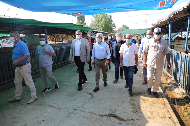 Başkan Erdem’den hayvan pazarına ziyaret
